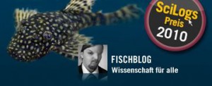 Adventskalender im Fischblog